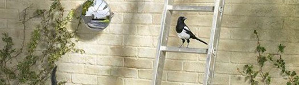 Cómo alejar la mala suerte